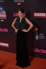 Jacqueline Fernandez at Life Ok Screen Awards red carpet in Mumbai on 14th Jan 2015 (137)_54b7eb4d5779e.JPG