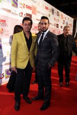 at the Red Carpet of THE GR8! Women Awards-ME 2015, held on the 12th January 2015 at Sofitel, Palms, Dubai (28)_54b8e90601cdc.jpg