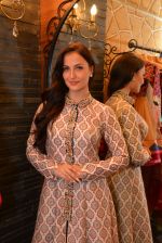 Elli Avram at the festive collection launch at the Hue store on 20th Jan 2015 (90)_54bf53c64e3dd.JPG