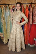 Gauhar Khan at the festive collection launch at the Hue store on 20th Jan 2015 (43)_54bf53bbd9bb5.JPG