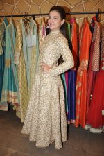 Gauhar Khan at the festive collection launch at the Hue store on 20th Jan 2015 (45)_54bf53bed2f98.JPG