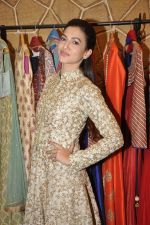 Gauhar Khan at the festive collection launch at the Hue store on 20th Jan 2015 (46)_54bf53c1790b7.JPG