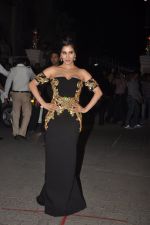 Sophie Chaudhary at Filmfare Awards 2015 Arrival on 31st Jan 2015 (242)_54ce321f0fb14.JPG