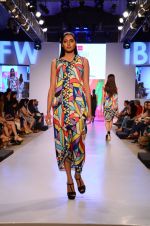 Model walk the ramp for James Fereira Show at India beach Fashion Week in Goa on 5th Feb 2015 (40)_54d47a952dad8.JPG