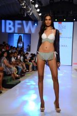 Model walk the ramp for Paperdoll Show at India beach Fashion Week in Goa on 5th Feb 2015 (43)_54d47cf73062d.JPG