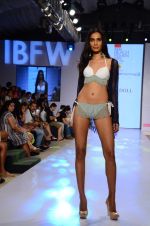 Model walk the ramp for Paperdoll Show at India beach Fashion Week in Goa on 5th Feb 2015 (44)_54d47cf89efbd.JPG