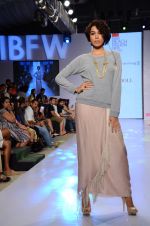 Model walk the ramp for Paperdoll Show at India beach Fashion Week in Goa on 5th Feb 2015 (93)_54d47dc2e309a.JPG