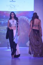 Model walk the ramp for Soniya Gohil show at India BEach Fashion Week on 9th Feb 2015 (19)_54d9ae85e98f8.JPG
