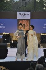 at Pepe Jeans music stage at Kalaghoda Festival on 14th Feb 2015 (17)_54e07f06cb149.JPG