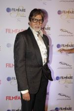 Amitabh Bachchan at Ciroc Filmfare Galmour and Style Awards in Mumbai on 26th Feb 2015 (246)_54f0765f81d3e.JPG