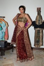 Diandra Soares at Shaina NC preview for Pidilite show in Mumbai on 26th Feb 2015 (15)_54f06a68a32e1.JPG