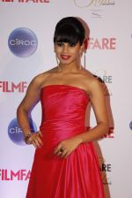 at Ciroc Filmfare Galmour and Style Awards in Mumbai on 26th Feb 2015 (22)_54f076ab98ba8.JPG