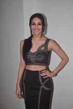 Amyra Dastur at Mr. X first look launch in Mumbai on 4th March 2015 (16)_54f840fb54361.JPG