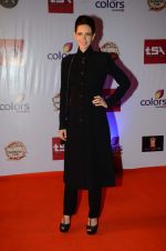 Kalki Koechlin at Television Style Awards in Filmcity on 13th March 2015 (66)_550422957af4e.JPG