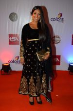 at Television Style Awards in Filmcity on 13th March 2015 (75)_550422755907e.JPG