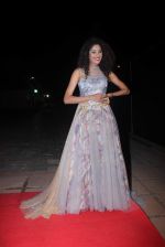Shraddha Musale at Smile Foundation show with True Fitt & Hill styling in Rennaisance on 15th March 2015 (20)_5506aca062092.JPG