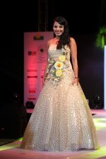 at Smile Foundation show with True Fitt & Hill styling in Rennaisance on 15th March 2015 (258)_5506ab65224ac.jpg
