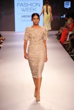 Model walks the ramp for Verb by Pallavi Singhee at Lakme Fashion Week 2015 Day 1 on 18th March 2015 (10)_550aacb942d9d.JPG