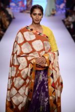 Model walks the ramp for Gaurang Show at Lakme Fashion Week 2015 Day 2 on 19th March 2015 (86)_550c050cb1155.JPG