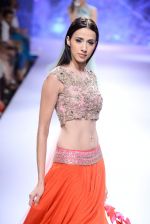 Model walk the ramp for Anushree Reddy Show at Lakme Fashion Week 2015 Day 4 on 21st March 2015 (11)_550ec4f0011c5.JPG
