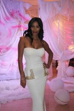 Poonam Pandey launches poster of her film Helen in Mumbai on 26th March 2015 (2)_5515276a22a2f.JPG