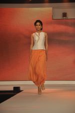 Model walks the ramp for Liva Launch in Mumbai on 27th March 2015 (197)_55167c586432a.JPG