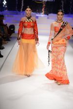 Model walk the ramp for Amazon India Fashion Week Grand Finale on 29th March 2015 (40)_5518f3642c004.JPG
