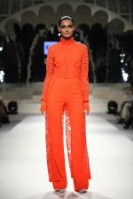 Model walk the ramp for Amazon India Fashion Week Grand Finale on 29th March 2015(235)_5518f49600bbf.JPG