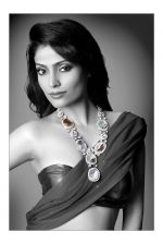 Megha Chatterjee Photo Shoot (7)_552b909bc98cc.jpg