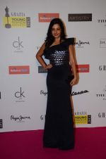 Amy Billimoria at Grazia young fashion awards red carpet in Leela Hotel on 15th April 2015 (1515)_552ff6379cb7f.JPG