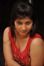 Janisa Patel (6)_552fdd533d329.jpg
