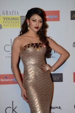 Urvashi Rautela at Grazia young fashion awards red carpet in Leela Hotel on 15th April 2015 (1670)_5530a382b7c7a.JPG