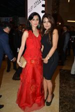 at Lorenzo Quinn launch in India in Gallery Odyssey at India Bulls set on 20th April 2015 (383)_55366f6ca4eb6.JPG