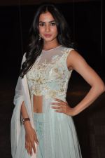 Sonal Chauhan at Pandaga Chesko Audio Launch on 1st may 2015 (46)_5544c4d56c555.jpg