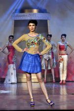 on the ramp for BD Somani show on 3rd May 2015 (112)_5548659b297e6.JPG