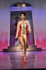 on the ramp for BD Somani show on 3rd May 2015 (123)_554865a58e566.JPG