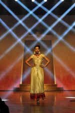 on the ramp for BD Somani show on 3rd May 2015 (141)_554865b935607.JPG