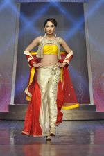 on the ramp for BD Somani show on 3rd May 2015 (148)_554865c105014.JPG