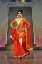 on the ramp for BD Somani show on 3rd May 2015 (153)_554865c88b3ac.JPG