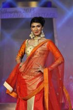 on the ramp for BD Somani show on 3rd May 2015 (154)_554865ca03594.JPG