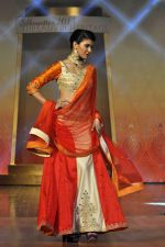 on the ramp for BD Somani show on 3rd May 2015 (155)_554865cbef0b2.JPG