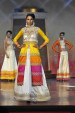 on the ramp for BD Somani show on 3rd May 2015 (173)_554865ed67d77.JPG