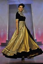 on the ramp for BD Somani show on 3rd May 2015 (26)_55486531cd2e0.JPG