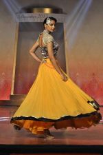 on the ramp for BD Somani show on 3rd May 2015 (261)_5548664b5076c.JPG