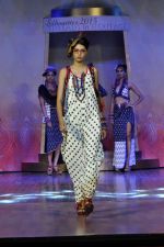 on the ramp for BD Somani show on 3rd May 2015 (42)_55486546b719a.JPG