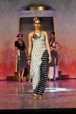 on the ramp for BD Somani show on 3rd May 2015 (44)_55486548bcf7f.JPG