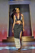 on the ramp for BD Somani show on 3rd May 2015 (51)_5548654fd24f6.JPG