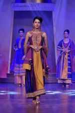 on the ramp for BD Somani show on 3rd May 2015 (81)_5548657f44687.JPG