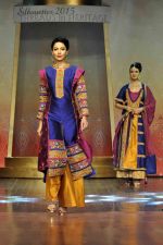 on the ramp for BD Somani show on 3rd May 2015 (92)_5548658c47850.JPG
