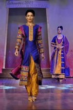 on the ramp for BD Somani show on 3rd May 2015 (93)_5548658d02ec6.JPG